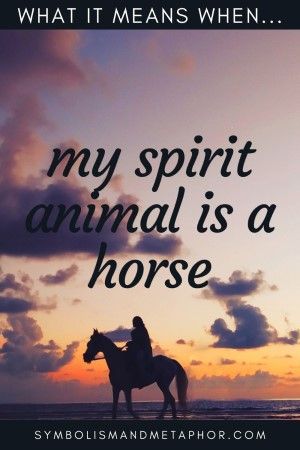 Horse Symbolism (7 Meanings) Dreams & Spirit Animals Horse Symbolism Meaning, Horse Spirit Animal Meaning, Spirit Animal Horse, Horse Symbolism, Horse Spirit Animal, Horse Symbol, Horse Archer, Spirit Animal Meaning, Animal Meanings