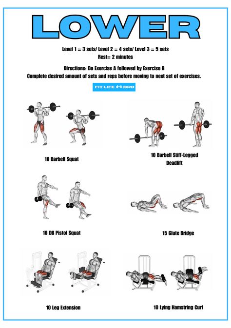 This workout will hit your muscles of your quads and hamstrings. #fitlifebroworkouts #quads #hamstrings #barbell Lower Body Hiit Workout, Lower Body Workout Gym, Lower Body Hiit, Quads And Hamstrings, Lower Body Workout, Hiit Workout, Mens Health, Workout Gym, Body Workout