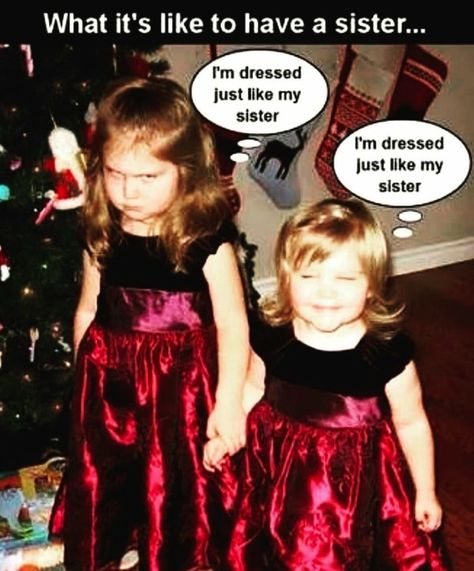 Funny Sister Memes, Sister Birthday Quotes Funny, Sister Meme, Siblings Funny Quotes, Sibling Memes, Funny Sister, Sister Love Quotes, Siblings Funny, Sister Quotes Funny