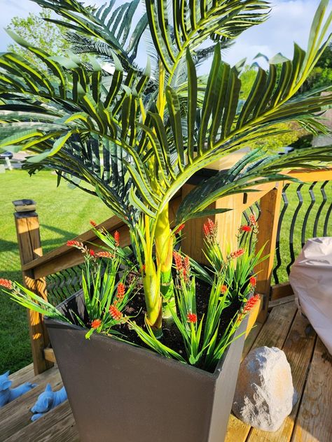 Amazon.com: Nearly Natural 5357 4ft. Golden Cane Palm Tree,Green : Home & Kitchen Golden Cane Palm, Artificial Trees, Green Home, Nearly Natural, Palm Tree, Palm Trees, Home Kitchen, Free Delivery, Trees