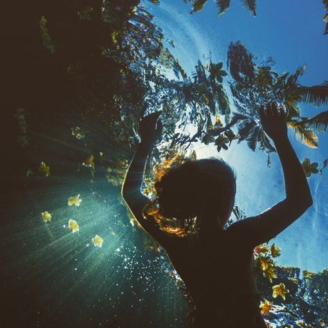 The Sky, A Woman, Trees, Water