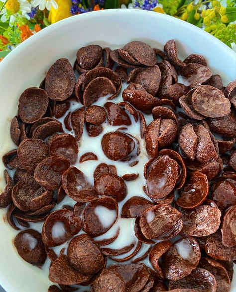 Although I loooove my smoothie bowls and oatmeals, sometimes a simple bowl of chocolate crisps is what I crave 🤎🤤 Sooo, I want it, I got it 😏  ⠀⠀⠀⠀⠀⠀⠀⠀⠀ What are your favorite breakfast cereals? 😊️ ⠀⠀⠀⠀⠀⠀⠀⠀⠀ #nutrirout ---------------------------------------------------------------------------- #smoothie #aesthetic #healthybreakfast #breakfastidea #getfit #vegan #veganfood #veganweighloss #veganhealthy #vegandeutschland #veganhannover #nutritionist #nutritionisthannover #cereals #chocolate # Smoothie Aesthetic, Chocolate Cereal, Smoothie Bowls, Morning Food, I Got It, Satisfying Food, Food Obsession, Cafe Food, Interesting Food Recipes