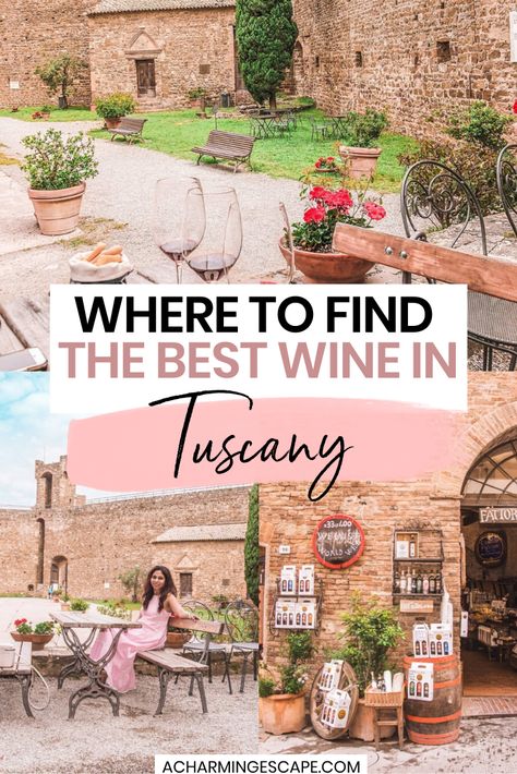 Italy Wine Tasting, Tuscany Wine Tasting, Wine Tasting Guide, Euro Tour, Best Italian Wines, Tuscany Wine, Drink Bucket, Couples Travel, Tuscany Travel