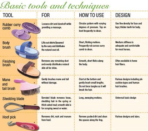 This is a diagram of each tool and their use and technique. This is an amazing diagram! Big thumbs up! Horse Brushes, Horse Lessons, Horse Information, Healthy Horses, Horse Care Tips, Horse Riding Tips, Horse Camp, Horse Therapy, Healthy And Fit