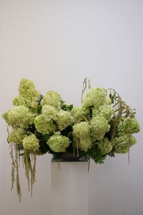 Green hydrangeas and hanging amaranthus Green Amaranthus Arrangement, Green Amaranthus Bouquet, Hanging Amaranthus Bouquet, Amaranthus Centerpiece, Amaranthus Arrangement, Amaranthus Wedding, Amaranthus Bouquet, Green Hanging Amaranthus, Green Hydrangea Bouquet