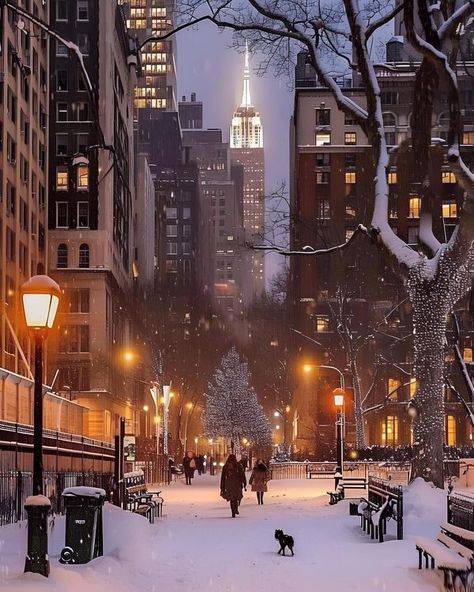 Loving Life Bucket List Holidays, In The Pale Moonlight, Beach Sunset Wallpaper, New York Architecture, I Love Snow, Christmas In The City, I Love Winter, Loving Life, Winter Scenery