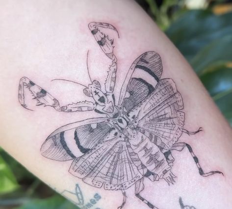 Praying Mantis Tattoo, Mantis Tattoo, Flower Mantis, Always Tattoo, Prison Tattoos, R Tattoo, Praying Mantis, Big Project, Pretty Design