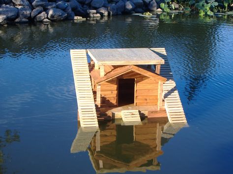 Dog Houses For Big Dogs, Outdoor Dog Houses, Air Conditioned Dog House, Floating Duck House, Duck House Diy, Wood Duck House, Igloo Dog House, Duck House Plans, Dog House Outdoor