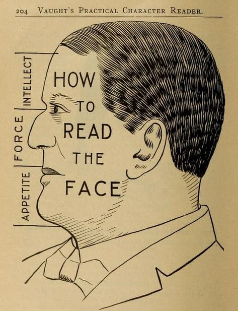 Phrenology Diagrams from Vaught’s Practical Character Reader (1902) – The Public Domain Review Chinese Face Reading, Brain Study, Phrenology Head, Reading Body Language, Eastern Medicine, Face Mapping, Face Reading, Face Study, How To Read People