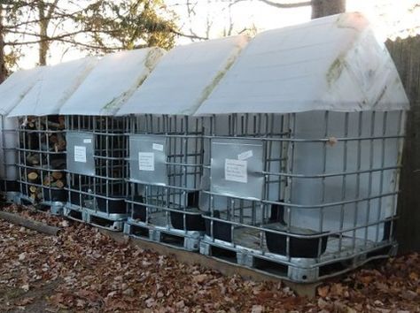 Life #1: The plastic bladder was meant to keep liquid inside the steel cage. Life #2: The plastic is cut and reconfigured in a way to keep the rainwater off the firewood inside the steel cage. Shop our inventory HERE👇 https://www.repurposedmaterialsinc.com/ibc-totes/ Save Big on the Used / Surplus / Salvage of Corporate America #repurposedMATERIALS #greenproducts #ecolifestyle #frugaltips #budgetfriendly #frugalshopper #savvyshopper #savingmoneytips #wasterecycling #sustainableliving #b... Ibc Tote Ideas, Totes Ideas, Eco Lifestyle, Rain Collection, Steel Cage, Corporate America, The Used, Trash To Treasure, Frugal Tips