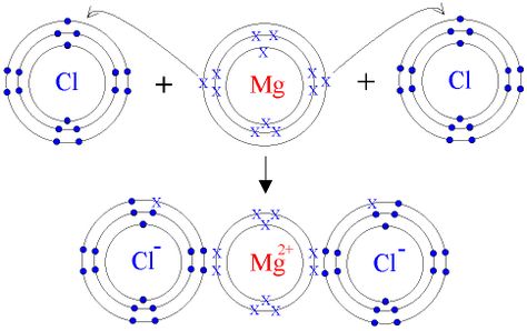 This picture shows the chemical bonding of Ionic Bonding. Magnesium and Chlorine are shown. Ionic Compound, Chemistry Projects, Ionic Bonding, Human Lungs, Ap Chemistry, Chemical Science, Covalent Bonding, Chemical Bond, Atomic Structure