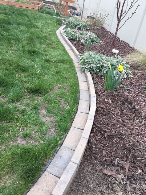 Brick mow strip border Mowing Strip, Brick Garden, Easy Landscaping, Front House, Landscaping Design, Front Yard Landscaping Design, Garden Bed, Back Garden, Diy Home Improvement