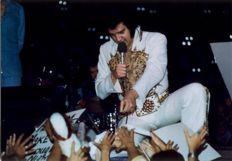 16 | cleuserpacheco52 | Flickr Elvis Presley 1977, Elvis Presley Graceland, Elvis Jumpsuits, Suspicious Minds, Bridge Over Troubled Water, Burning Love, Graceland, Post Card, Elvis Presley