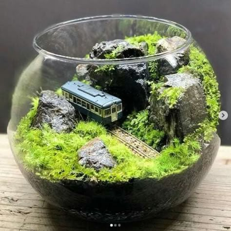 Terrarium Scene, Terrarium Jar, Diy Succulent Terrarium, Miniature Terrarium, Beautiful Terrariums, Mini Terrarium, نباتات منزلية, Terrarium Ideas, Moss Terrarium