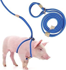 GINDOOR Mini Pig Harness and Leash, 9 FT x 1/2" Adjustable Pig Harness Supplies, Comfortable Strong Rope Leash Harness Set for Small to Medium Pet Pigs Walking Training Jogging Diy Pig Harness, Pig Harness, Eggshell Blue, Rope Leash, Leash Training, Pet Pigs, Pet Leash, Pet Supplies Dog, Pigs