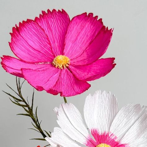 New Flower, Crepe Paper, Flower Tutorial, Every Month, Some Ideas, Three Color, Be Perfect, Cosmos, Color