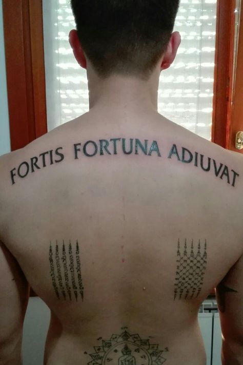 Fortis Fortuna Adiuvat Tattoo, Fortis Fortuna Adiuvat, Elements Tattoo, Get A Tattoo, Back Tattoo, Tattoo Ideas, Tattoo Designs, Tattoos