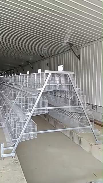 Good Price For Hot Sale Poultry Chicken Farm Cage Customized Poultry Battery Cage Automatic System - Buy Batter… [Video] | Chicken cages, Poultry farm design, Poultry house Bird Feeder Post, Poultry Farm Buildings, Chickens Breeds, Pet Chickens Breeds, Poultry Farm Design, Chicken Feeder Diy, Backyard Coop, Chicken Shed, Layer Chicken