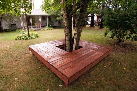 That's right mom and I built this. Inspired by a pin! Patio Around Tree, Deck Around Tree, Deck Around Trees, Bench Around Trees, Garden Chairs Design, Tree Seat, How To Landscape, Moderne Have, Deck Diy