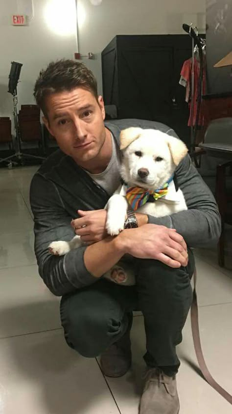 Kevin/ Justin Hartley and a dog Justin Heartly, Boyfriend Justin, Justin Hartley, Hot Dads, Dog Best Friend, Man And Dog, Smallville, Cute Celebrities, Most Beautiful Man