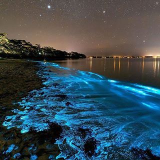 Sirmione, Italy 🇮🇹 Photo by @stefanotermanini #TourThePlanet 🌎🌍🌏 Bioluminescence Water, Bioluminescent Bay, Ocean At Night, Sea Of Stars, Water Aesthetic, Beach At Night, Fantasy Places, Dream Travel Destinations, Night Aesthetic