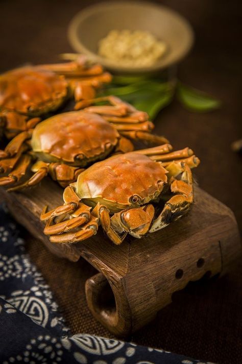 Steamed crabs Steamed Crab, Steamed Crabs, Many People, Delicious Food, Crab, Slot Online, Yummy Food