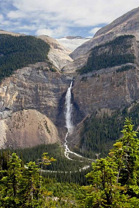 Yoho National Park Canada, Australia Wallpaper, Icefields Parkway, Northern Exposure, Yoho National Park, Canadian Travel, Hiking Spots, Water Falls, Scenery Pictures