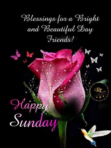 Sunday Morning Wishes Happy, Happy Sunday Images Beautiful, Sunday Morning Wishes, Afternoon Greetings, Peaceful Sunday, Happy Sunday Images, Good Morning Christmas, Morning Christmas, Sunday Prayer