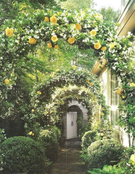 Beautiful rose and jasmine archways. #jasmine #garden #landscaping Rose Arbor, Garden Arches, The Secret Garden, Enchanted Garden, Side Yard, Gorgeous Gardens, Wedding Idea, Garden Structures, Garden Cottage