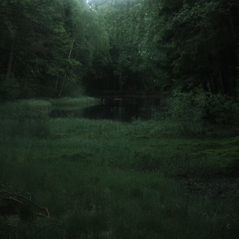 Dark Fairy Aesthetic, Dark Naturalism, Misty Forest, Dark Fairy, Deep Forest, Green Landscape, Green Beauty, Night Aesthetic, Dark Forest