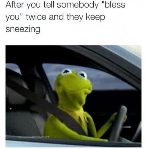 Kermit Meme, Kermit Funny, Kermit The Frog, Memes Humor, Funny Relatable Quotes, The Frog, Funny Laugh, Bones Funny, Funny Images