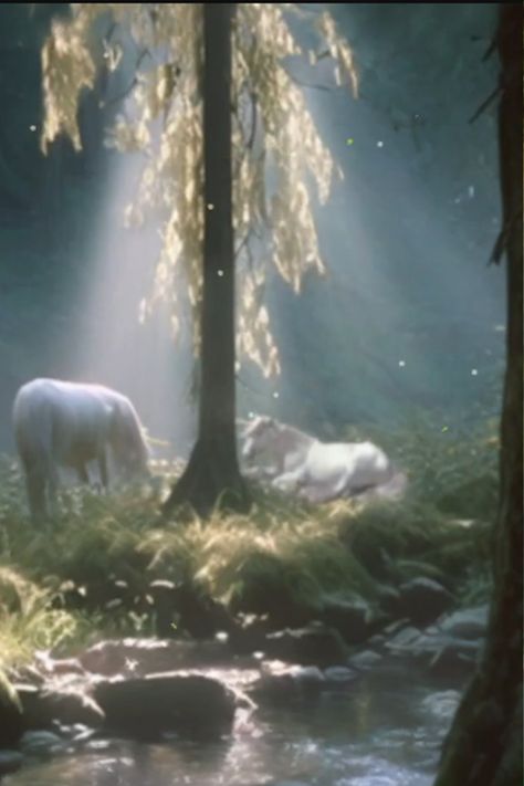 Unicorn Forest🦄 Legend Ambience. Inspired ambience from 1985 Legend " Looking upon these frail creatures, one would not think that they could contain such power. One could rule the universe with it." "These are Sacred Animals! " Unicorn Legend, Legend 1985, Unicorn Forest, Story Bible, Forbidden Forest, Fantasy Movies, Dark Fantasy, The Universe, Mood Board