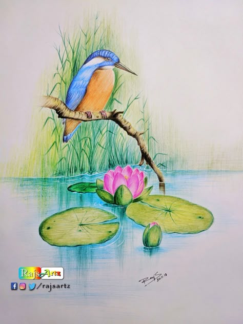 Quiet Nature- Color Pencil Art – Arts With Nakum Rajesh Pencil Drawings Of Nature, Watercolor Pencil Art, Color Pencil Sketch, Color Pencil Illustration, Bird Watercolor Paintings, Nature Art Drawings, Colored Pencil Artwork, Oil Pastel Art, Oil Pastel Drawings