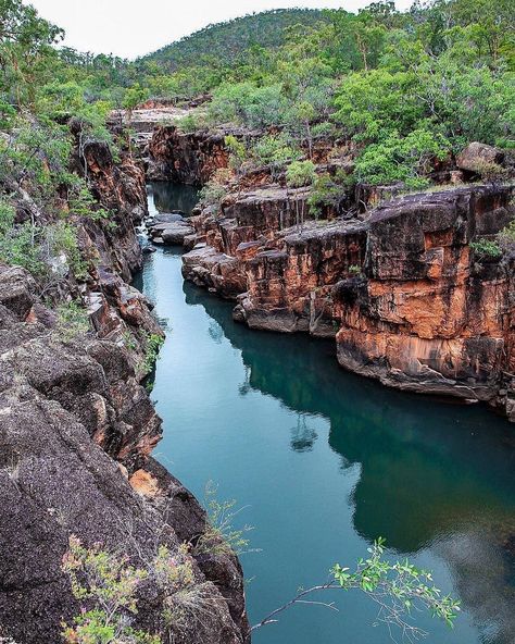 Queensland Theme Parks, Cairns Australia Aesthetic, Queensland Rainforest, Green Island Cairns, Aus Travel, Cairns Rainforest, Beach Photography Friends, Roadtrip Australia, Cliff Climbing