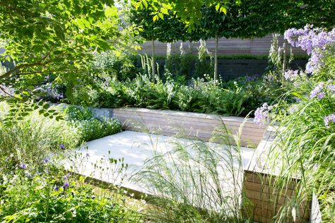 Garden Design London, Modern Courtyard, Contemporary Garden Design, Courtyard Gardens Design, Aesthetic Garden, Sunken Garden, Garden Designer, Garden Aesthetic, Decoration Garden