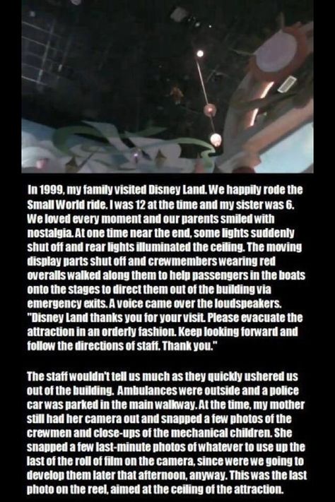 Disneyland - Creepypasta Scary Stories, Small World, My Family, Daily Dose, Funny Memes, Let Me, Humor, Disney, Memes