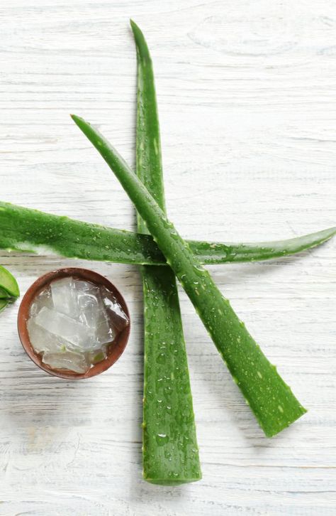 Make Your Own Aloe Vera Gel: Make Your Own, DIY - Aloe Gel - Sandbetweenmypiggies.com Diy Aloe Vera Gel, Healthy Nutrition Plan, Brown Spots Removal, Aloe Gel, Proper Nutrition, Aloe Vera Gel, Healthy Living Lifestyle, Healthy Nutrition, Nutrition Recipes