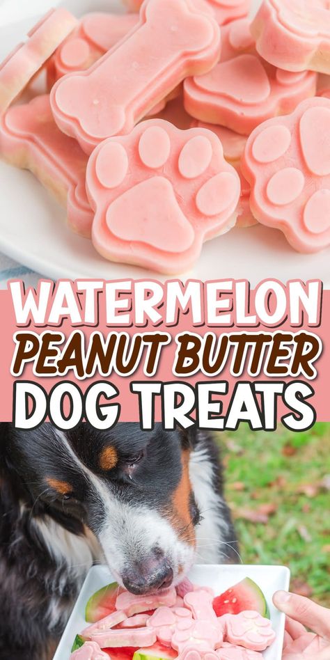 Dog Treats Homemade Watermelon, Watermelon Yogurt Dog Treats, Dog Cold Treats, Watermelon Popsicles For Dogs, Cantaloupe Dog Treats, Dog Days Of Summer Crafts, Fourth Of July Dog Treats, Dog Treat Small Business, Kefir Dog Treats