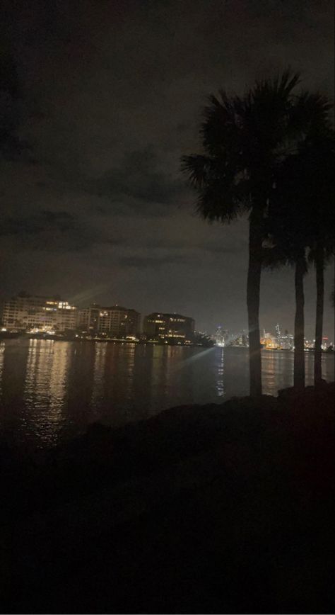 Miami Beach At Night, Night Palm Trees, Miami Palm Trees, Miami At Night, Florida Night, Palm Tree Aesthetic, Pretty Sights, Night Palm, Pretty Sunsets