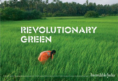 Go Green Culture Of India, Revolution Poster, Kerala Travel, India Poster, Green Revolution, India Culture, Interactive Media, Visit India, India Tour