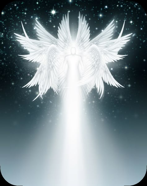 Can you imagine flying and being guided by two Seraphim? It's amazing and very enlightening, this is my wonderful experience... Archangels Names, Seraphim Angels, Seraph Angel, Real Angels, Angel Artwork, Angel Warrior, Oracle Reading, Ange Demon, Angel Pictures