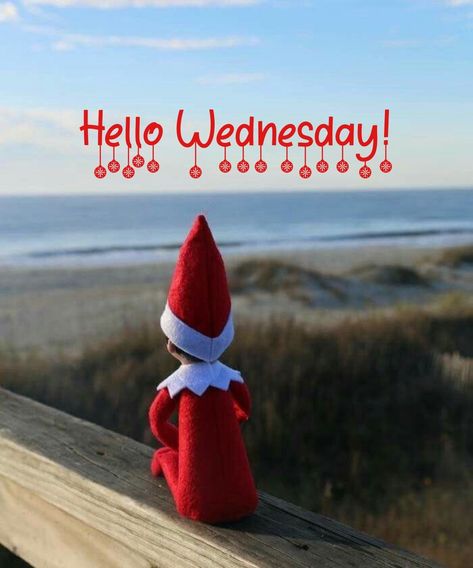 Wednesday Work Quotes, Christmas Wednesday, Wednesday Greetings, Wednesday Humor, Good Morning Wednesday, Good Morning Greeting Cards, Happy Wednesday Quotes, Quotes Christmas, Wednesday Quotes