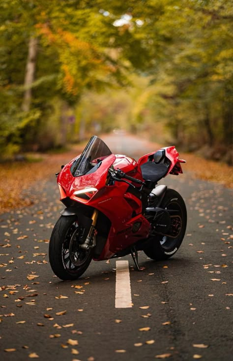 Ducati Panigale V4 Ducati Bike, Ducati 1299 Panigale, Motorcycle Kawasaki, Ducati Motorbike, Ducati Superbike, Ducati Panigale V4, Moto Ducati, Panigale V4, Kawasaki Bikes