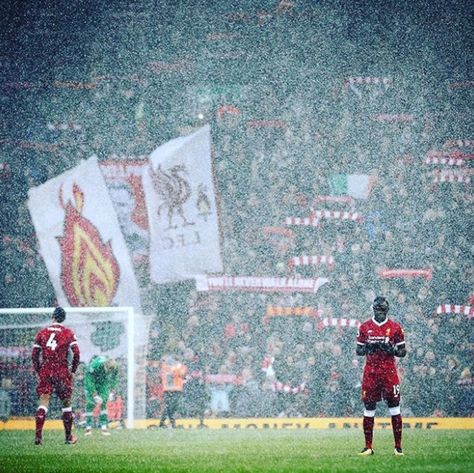 liverpool fc play in snow Football In Snow, Snow Football, Liverpool Football Club, Liverpool Football, Liverpool Fc, Football Club, Liverpool, Football, Baseball Cards