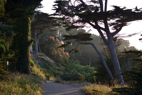 Hike the Lands End Trail, San Francisco Stow Lake San Francisco, Lands End San Francisco, The Golden Gate Bridge, Best Hikes, Week 1, Golden Gate Bridge, Golden Gate, Great View, Ocean View