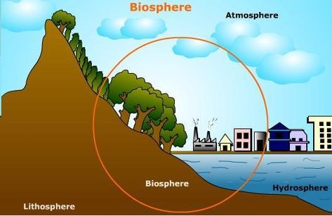 Basic Geography Lessons 4 Subsystems Of The Earth, Subsystems Of The Earth, Biosphere Drawing, Earth Drawing Simple, The Earth Drawing, Notes In English, Earth Drawing, Basic Geography, Living And Nonliving