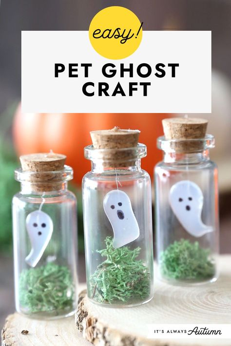 Easy Halloween craft idea! Learn how to make adorable little pet ghosts in a bottle. Ghost In A Jar Diy, Ghost In A Bottle, Ghost In A Jar, Pet Ghost, Craft For Adults, Ghost Crafts, Halloween Outside, Ghost Diy, Halloween Party Dinner