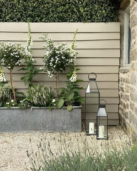 Farrow And Ball Exterior, Small English Garden, Small Front Gardens, Garden Corner, Small Courtyard Gardens, Courtyard Gardens Design, Back Garden Design, Farrow And Ball Paint, Farrow And Ball