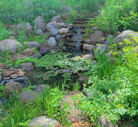 Photo of a small watering hole with smaller waterfall feature, Lilly pads and overgrown wildflowers are around Arailym Core, Elizacore Aesthetic, Braylee Core, Hailey Aesthetic Core, Kristy Core, Jaylin Core, Keely Core, Tammy Core, Ansley Core