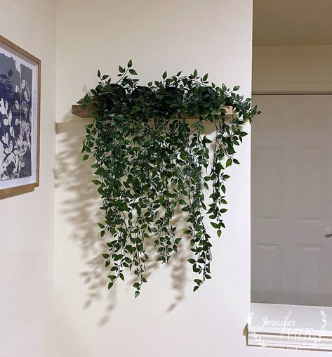 Plant Wall Shelf, Bathroom Plants No Sunlight, Plant Ledge, Bathroom Plants Decor, Ikea Plants, Skin Studio, Indoor Plant Wall, Hanging Plant Wall, Floating Plants